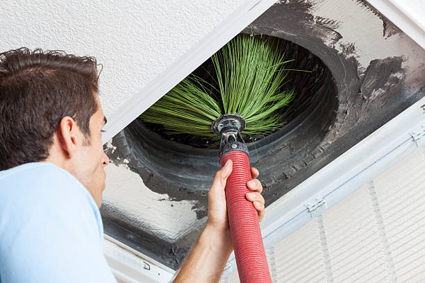Best Professional Duct Cleaning Services  in Linden, TN
